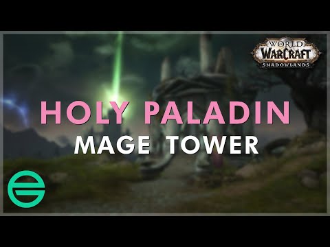 Holy Paladin Mage Tower Timewalking