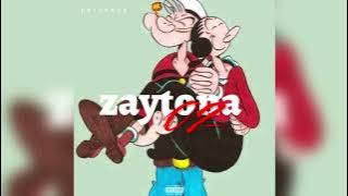PARANOIA _ ZAYTONA 2 (الجزء الثاني )