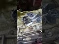 রানা মেইকার সেলাই মেশিন সার্ভিসিং সেন্টার,, হবিগঞ্জ জেলা সদর ,