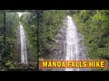 Manoa Falls Trail Hiking on a Rainy and Foggy Day | Honolulu, Oahu, Hawaii, USA 🌴 Hawaii 4K Hike