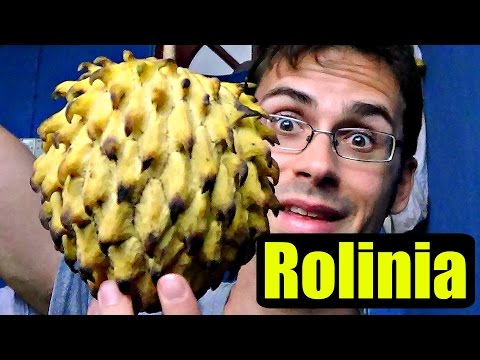 ROLLINIA REVIEW : An Incredible fruit with a Snotty Texture - Weird Fruit Explorer