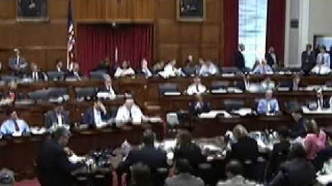 May 21, 2009 ACES Markup - Amendment Rep. Butterfield