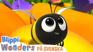 Honungsbin Pedagogiska Videor För Barn