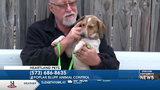 Heartland Pets feat. Lilly 3/15