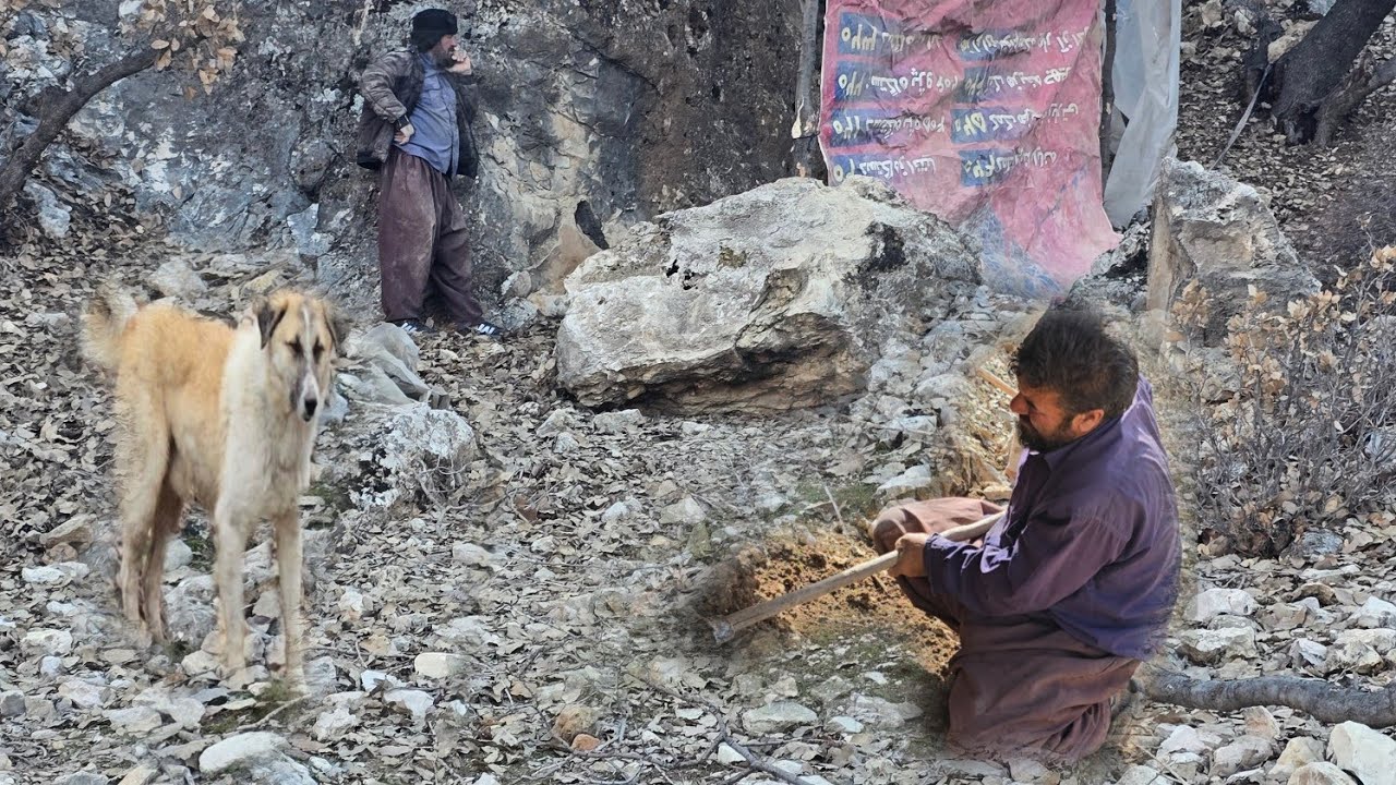 Survival in nature without facilities | Building sheep pens in real nomad life 🏔️🔥