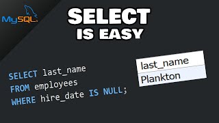 Mysql: How To Select Data From A Table