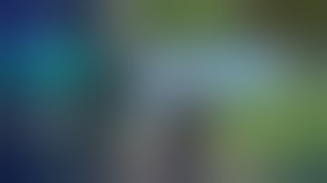 STRAIN REPUTATION WEED SYSTEM | REP SCRIPTS FIVEM | https://rep.tebex.io/