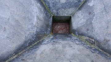 Logic Multi Snacker Feeder