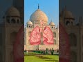 Taj Mahal's Windpipe