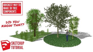 How to make 3d Tree Component in Sketchup Tutorial