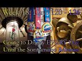Going to Disney Every Day Until The Smash Bros Sora amiibo Releases - Week 18 | Stormwind Adventures