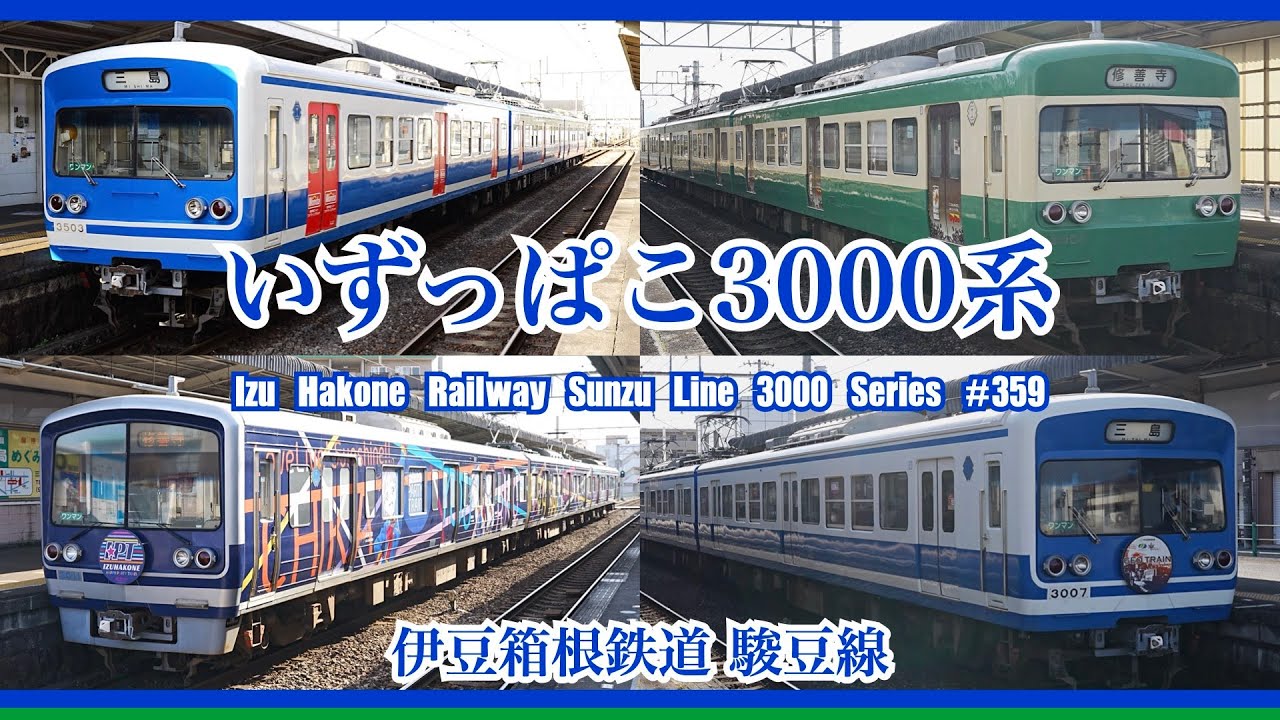 【4K 60fps】伊豆箱根鉄道 3000系 駿豆線 いずっぱこ HAPPY PARTY TRAIN Izu Hakone Railway Sunzu Line 3000 Series【#のんてつ】