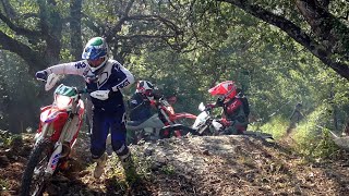 Enduro des Chataignes Privas 2023 Show Mistakes Extrem Hard Crash