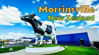 Exploring the Morrinsville Town Center in Waikato | Morrinsville New Zealand