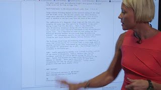 Hurricane Matthew evening update with Kim Miller