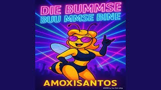 Download Lagu Die Bummse buu mmse Bine DJ Edition (PumpBass Version) MP3 Download Lagu Die Bummse buu mmse Bine DJ Edition (PumpBass Version) MP3