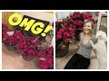 VLOG | 500 ROSES FOR 500,000 SUBSCRIBERS!