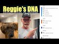 Reggie’s DNA results are here