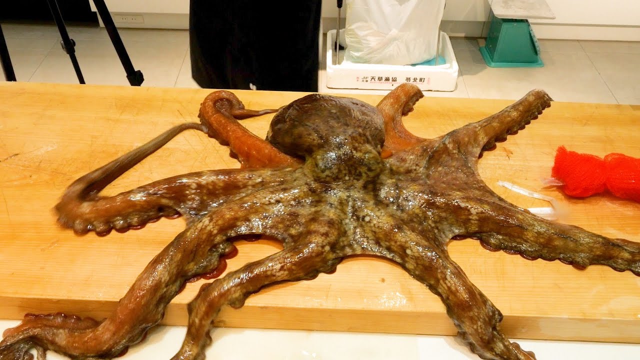 Осьминог это ааааааа!