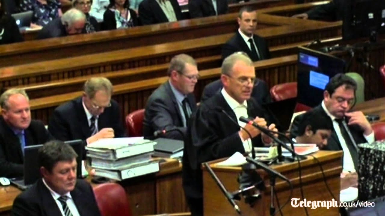 Pistorius' forensic expert under spotlight