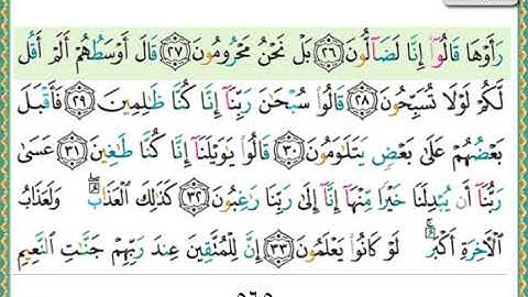 سورة القلم الشيخ ناصر القطامي