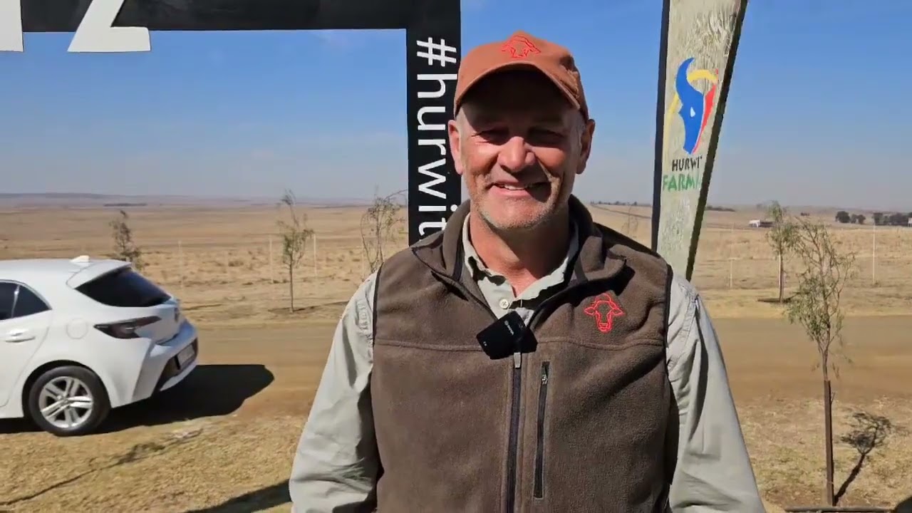 Quentin van Vastrap Boran gesels oor die Hurwitz Production Auction.