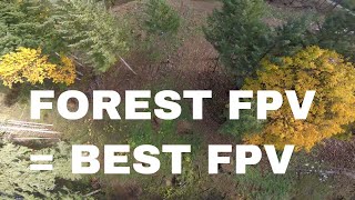 I love trees