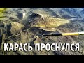 Карась проснулся! Рыбалка в Подмосковье. Ловля на поплавок.