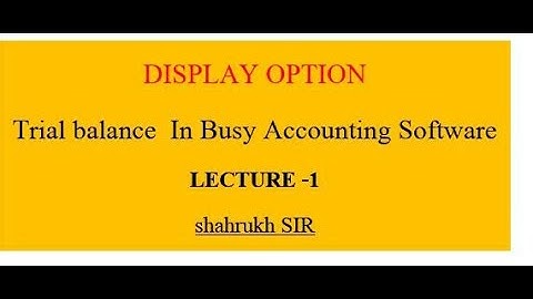 1-BUSY SOFTWARE|||| DISPLAY OPTION CLASS-1||| TRIAL BALANCE