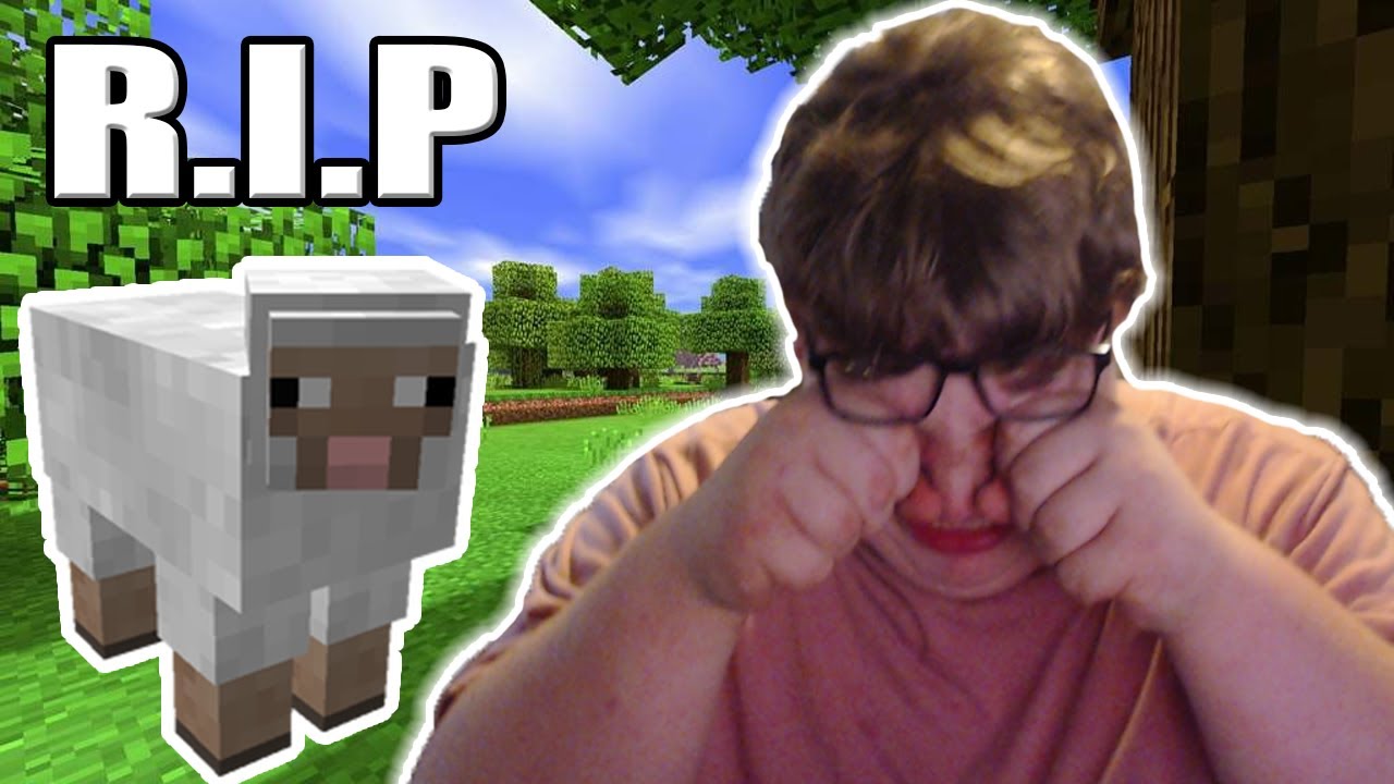 I FOUND MY SHEEP IN MINECRAFT (MINECRAFT PART 2) R.I.P MR SHEEP YouTube