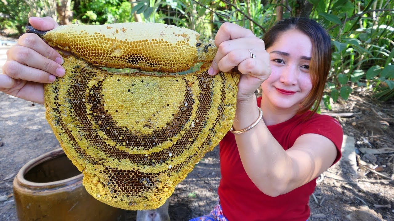Yummy Honey Comb Grilling Recipe Honey Comb Cooking Cooking With Sros YouTube