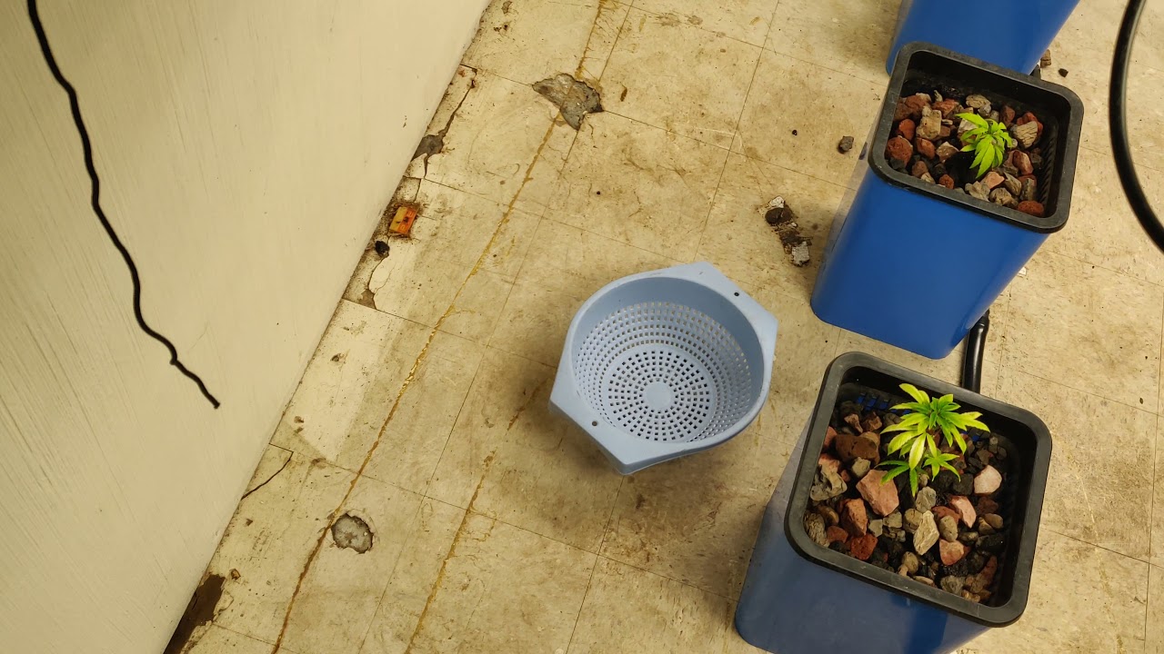 55 Gallons of water disappeared 