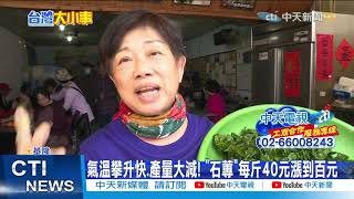【整點精華】20210224 閃閃發光! 八斗子海蝕平台長滿海萵苣「石蓴」