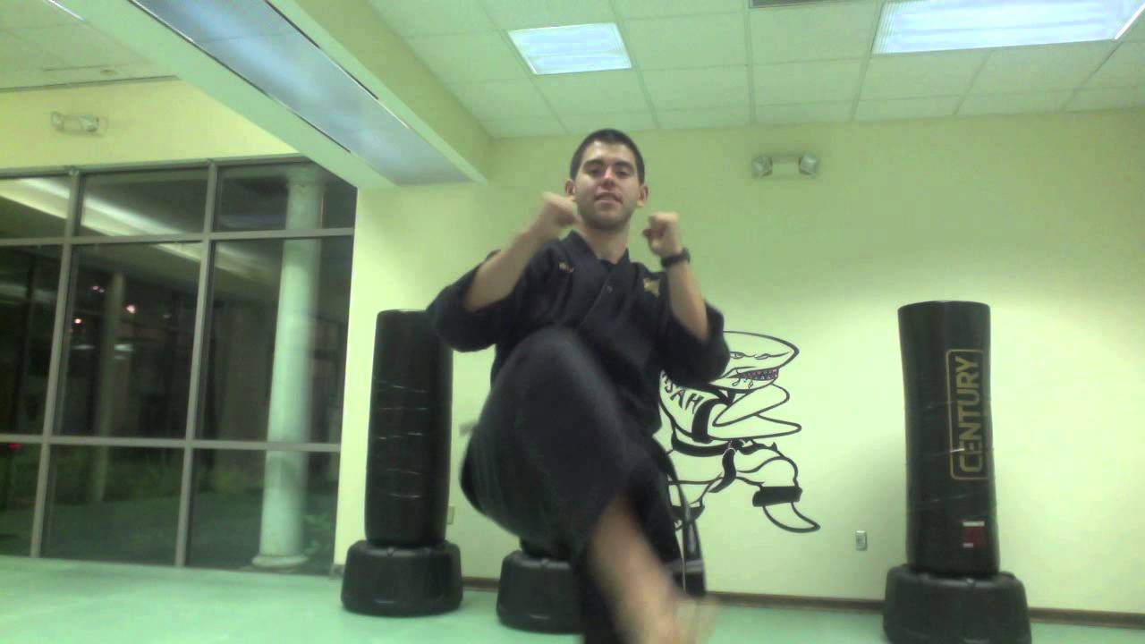 Action Karate Little Ninja Shark Combo. Set 1 YouTube