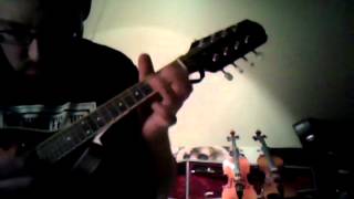 Elk River Blues Mandolin w/ Dulcimer chords