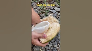 Cách lấy cùi dừa làm mứt dừa dễ làm