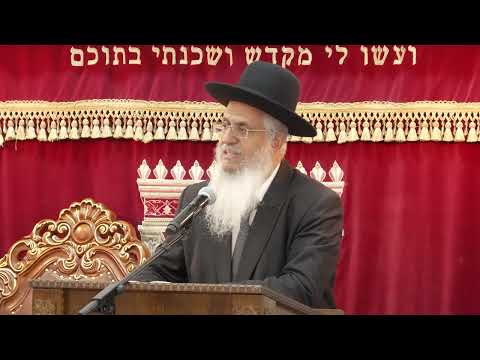 מצוות התורה בפרשת וירא חלק ג | הרב יורם סרי