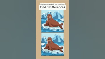 Spot the 8 Differences - IMPOSSIBLE CHALLENGE!