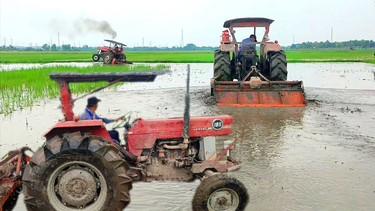So sánh 2 chiếc máy cày massey Ferguson 185 và 165 xới đất như thế nào