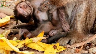 Million Sad Jollyrol Sit Catch Her Newborn , Pity Newborn P A Way