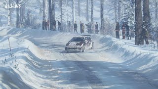 SNOW MUCH FUN! Dirt Rally 2.0: Sweden