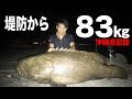 【生涯一本の奇跡】超巨大魚との死闘の記録はこちら（石垣第3夜）