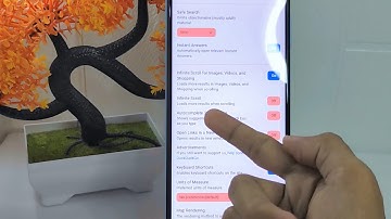 How To Enable Autocomplete Suggestions In DuckDuckGo App On Android
