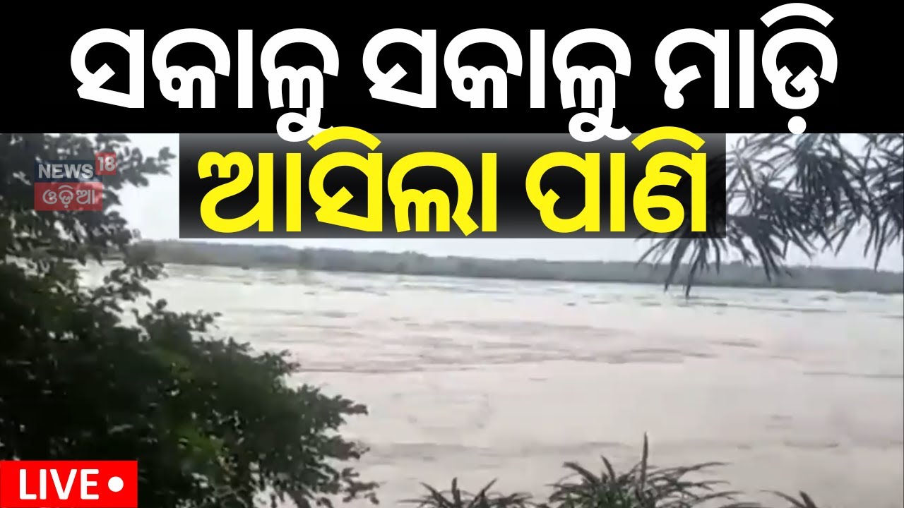 Live: ଉପରମୁଣ୍ଡରେ ପ୍ରବଳ ବର୍ଷା |Subarnarekha River Over Danger Mark |Flood Alert in Balasore District