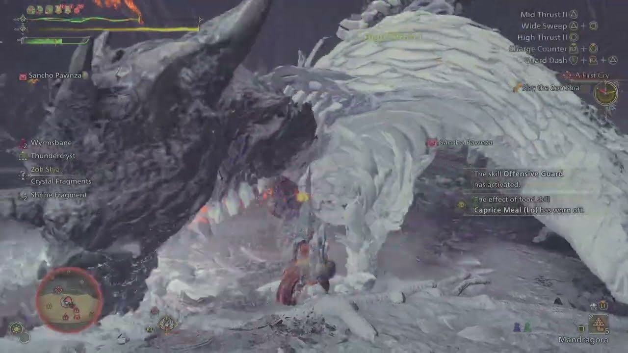 Monster Hunter Wilds: Zoh Shia (Story HR - Lance Solo POV)