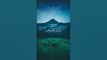 آيات من سورة التوبة * ألم يعلموا أن الله هو يقبل التوبة عن عباده * بصوت القارئ ياسر الدوسري