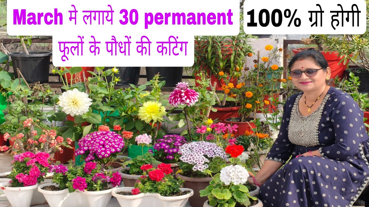 मार्च में कटिंग से तैयार करें (30) 3️⃣0️⃣ परमानेंट फूलों वाले  पौधों को, मार्च में इन पौधों को लगाये