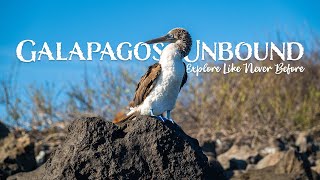 Five Islands, One Unforgettable Journey | The Ultimate Galápagos Expedition with Adventure Unbound
