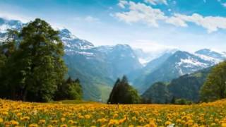 Turan Engin Siyah Saçlarında Hatem Yüzlerin