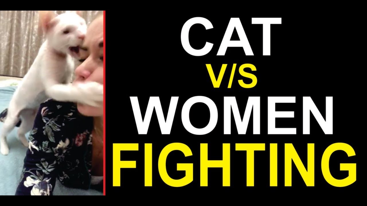 Cat v/s Women Fighting 2018 Full Hd VIdeo : Eagle Graphics